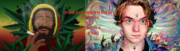 дживик Лихославль