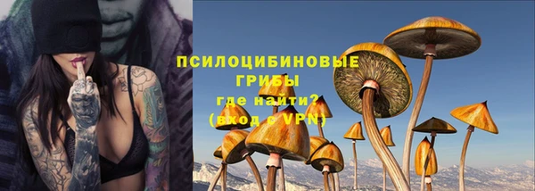 винт Лиски