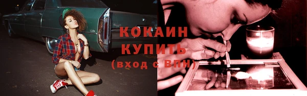 дживик Лихославль