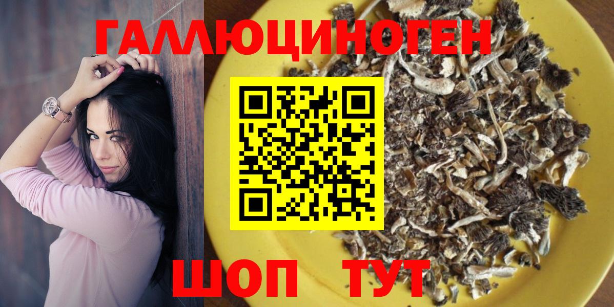 Галлюциногенные грибы Psilocybine cubensis Южно-Сахалинск